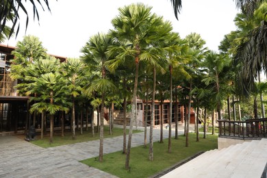 Photo of Beautiful green palm trees near building outdoors