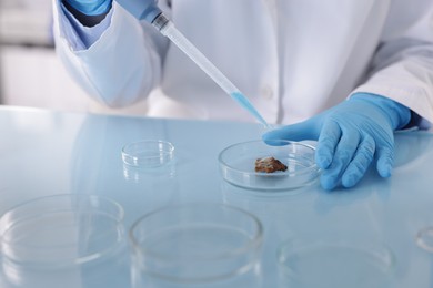 Photo of Scientist working with sample in Petri dish at table in laboratory, closeup