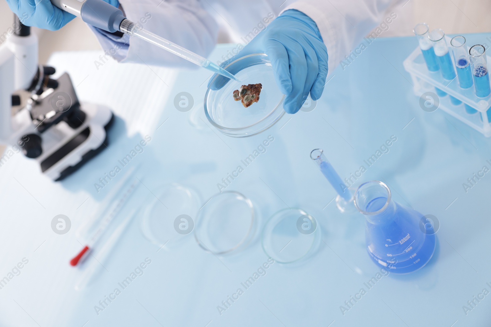 Photo of Scientist working with sample in Petri dish at table in laboratory, closeup