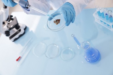 Photo of Scientist working with sample in Petri dish at table in laboratory, closeup