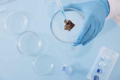 Photo of Scientist working with sample in Petri dish at table in laboratory, closeup