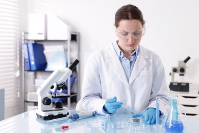 Photo of Scientist working with sample in Petri dish at table in laboratory