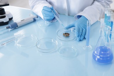 Photo of Scientist working with sample in Petri dish at table in laboratory, closeup