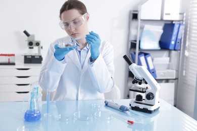 Photo of Scientist working with sample in Petri dish at table in laboratory