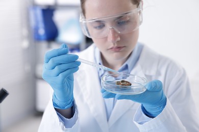 Photo of Scientist working with sample in Petri dish in laboratory, selective focus