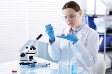 Photo of Scientist working with sample in Petri dish at table in laboratory