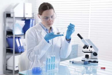 Photo of Scientist working with sample in Petri dish at table in laboratory
