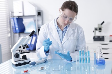 Photo of Scientist working with sample in Petri dish at table in laboratory