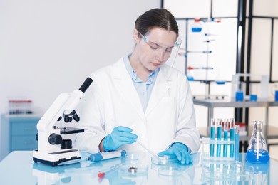 Photo of Scientist working with sample in Petri dish at table in laboratory