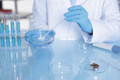 Photo of Scientist working with sample in Petri dish at table in laboratory, closeup