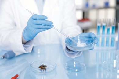 Photo of Scientist working with sample in Petri dish at table in laboratory, closeup