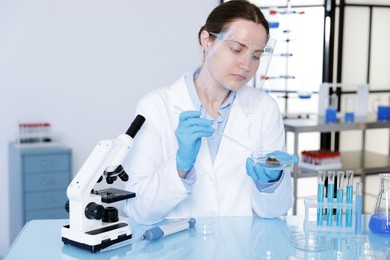 Photo of Scientist working with sample in Petri dish at table in laboratory