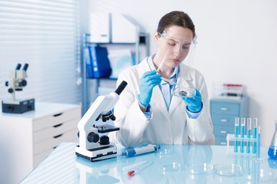 Photo of Scientist working with sample in Petri dish at table in laboratory