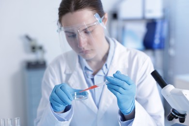 Photo of Scientist working with sample in Petri dish in laboratory, selective focus