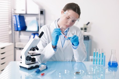 Photo of Scientist working with sample in Petri dish at table in laboratory
