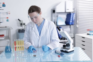 Photo of Scientist working with sample in Petri dish at table in laboratory