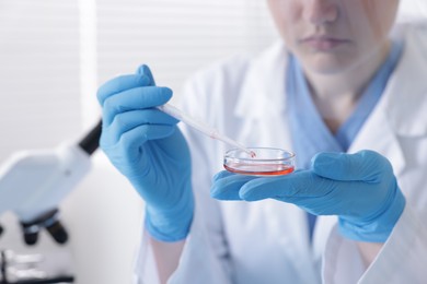 Photo of Scientist working with sample in Petri dish in laboratory, closeup