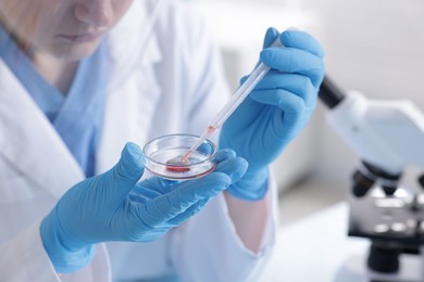 Photo of Scientist working with sample in Petri dish in laboratory, closeup