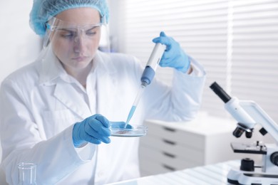 Photo of Scientist working with sample in Petri dish in laboratory, selective focus