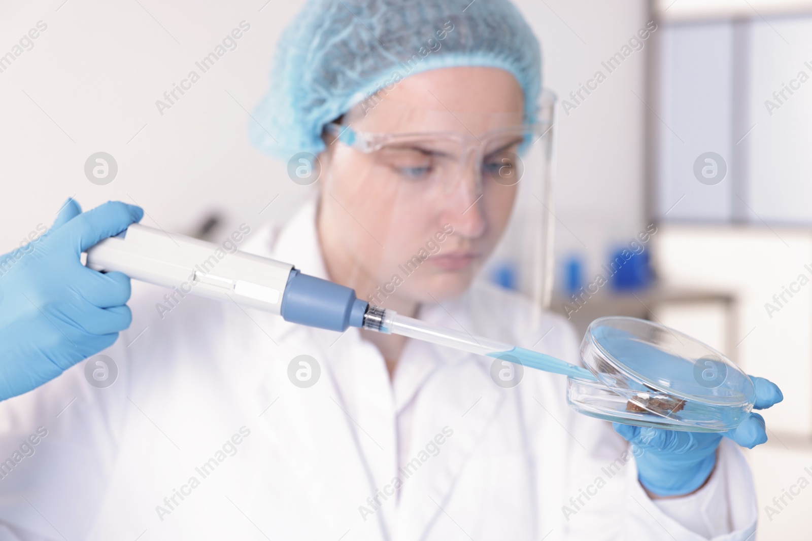Scientist working with sample in Petri dish in laboratory, selective focus Photo of Scientist working with sample in Petri dish in laboratory, selective focus