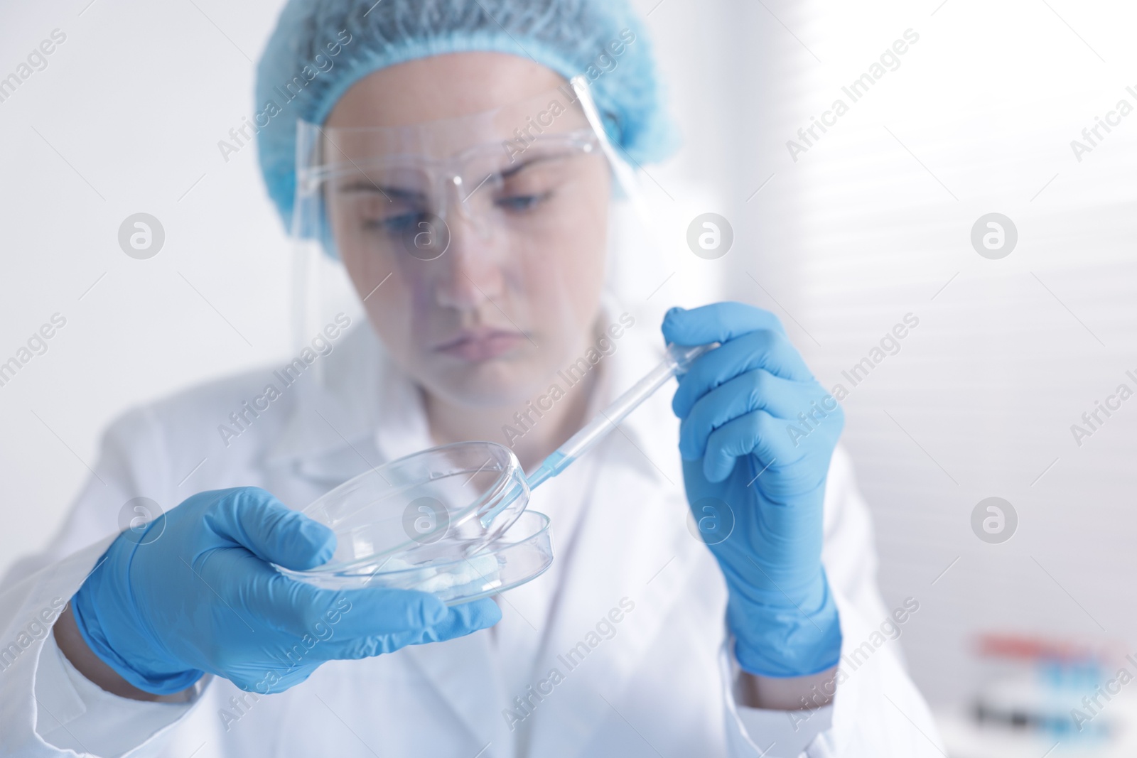 Scientist working with sample in Petri dish in laboratory, selective focus Photo of Scientist working with sample in Petri dish in laboratory, selective focus