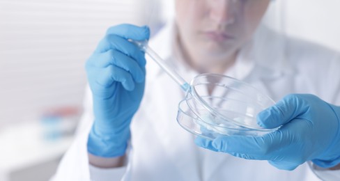 Photo of Scientist working with sample in Petri dish in laboratory, closeup