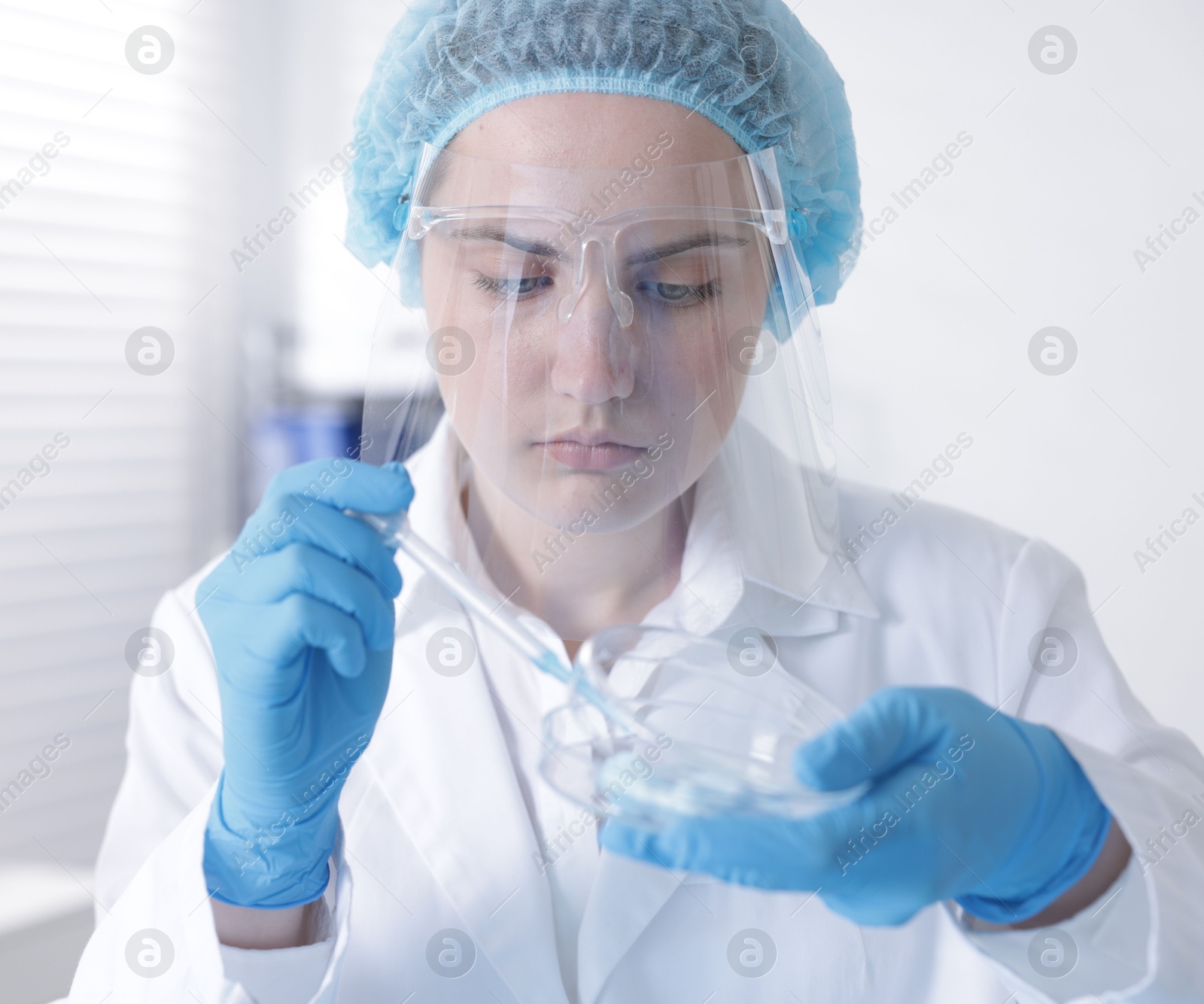 Scientist working with sample in Petri dish in laboratory Photo of Scientist working with sample in Petri dish in laboratory