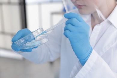 Photo of Scientist working with sample in Petri dish in laboratory, closeup