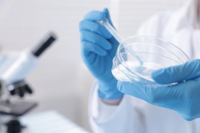 Photo of Scientist working with sample in Petri dish in laboratory, closeup