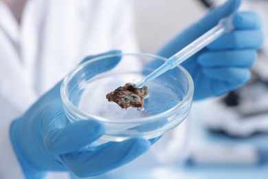 Photo of Scientist working with sample in Petri dish in laboratory, closeup