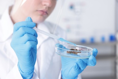 Photo of Scientist working with sample in Petri dish in laboratory, closeup
