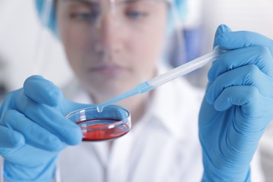 Photo of Scientist working with sample in Petri dish in laboratory, selective focus