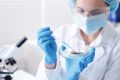 Photo of Scientist working with sample in Petri dish in laboratory, selective focus
