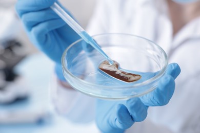 Photo of Scientist working with sample in Petri dish in laboratory, closeup