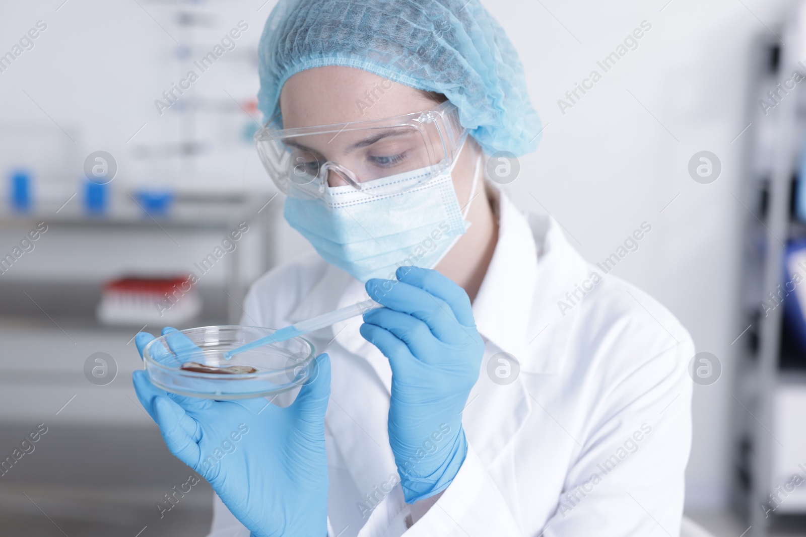 Scientist working with sample in Petri dish in laboratory Photo of Scientist working with sample in Petri dish in laboratory