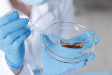 Photo of Scientist working with sample in Petri dish in laboratory, closeup