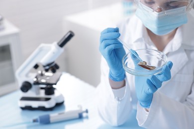 Photo of Scientist working with sample in Petri dish at table in laboratory