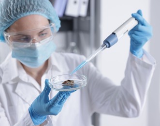 Photo of Scientist working with sample in Petri dish in laboratory, selective focus