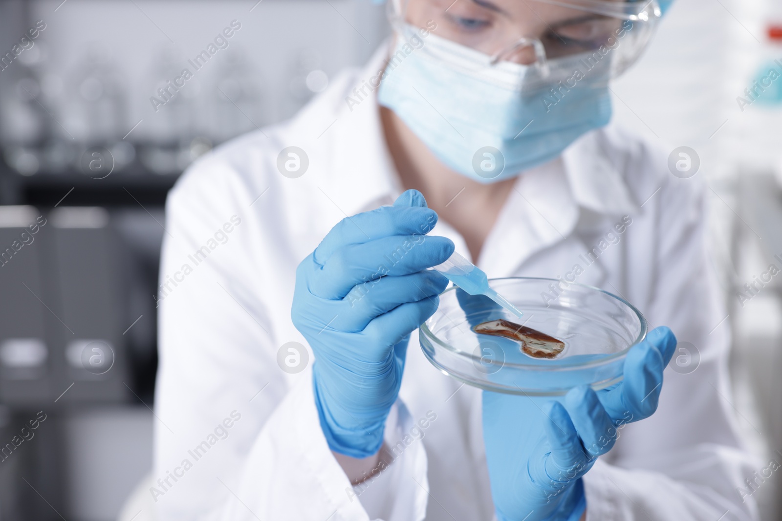 Scientist working with sample in Petri dish in laboratory, selective focus Photo of Scientist working with sample in Petri dish in laboratory, selective focus