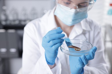 Photo of Scientist working with sample in Petri dish in laboratory, selective focus