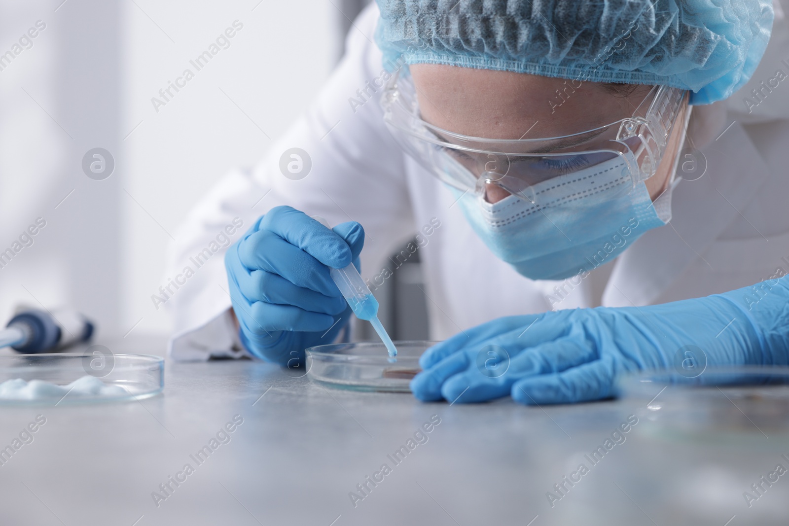 Scientist working with sample in Petri dish at table in laboratory Photo of Scientist working with sample in Petri dish at table in laboratory