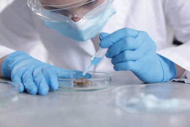 Photo of Scientist working with sample in Petri dish at table in laboratory, closeup