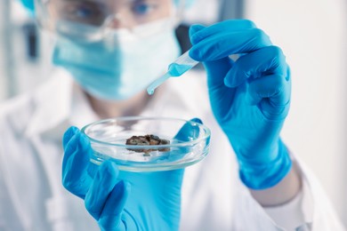 Photo of Scientist working with sample in Petri dish in laboratory, closeup
