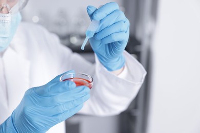 Photo of Scientist working with sample in Petri dish in laboratory, closeup