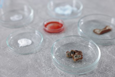 Photo of Petri dishes with different samples on grey table, closeup
