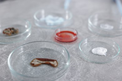 Photo of Petri dishes with different samples on grey table, closeup