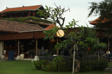 Photo of Bali, Indonesia - May 27, 2025: Different green plants near cafe