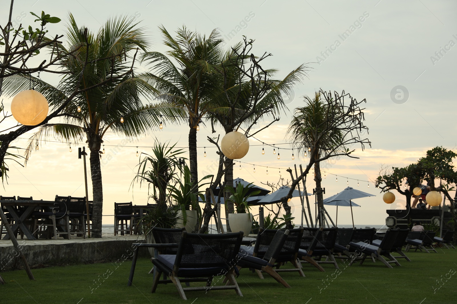 Bali, Indonesia - May 27, 2025: View of green palms and outdoor cafe Photo of Bali, Indonesia - May 27, 2025: View of green palms and outdoor cafe