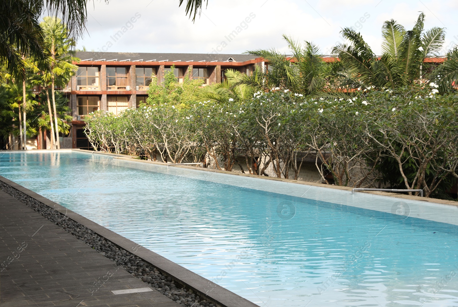 Outdoor swimming pool, building and green plants at luxury resort Photo of Outdoor swimming pool, building and green plants at luxury resort