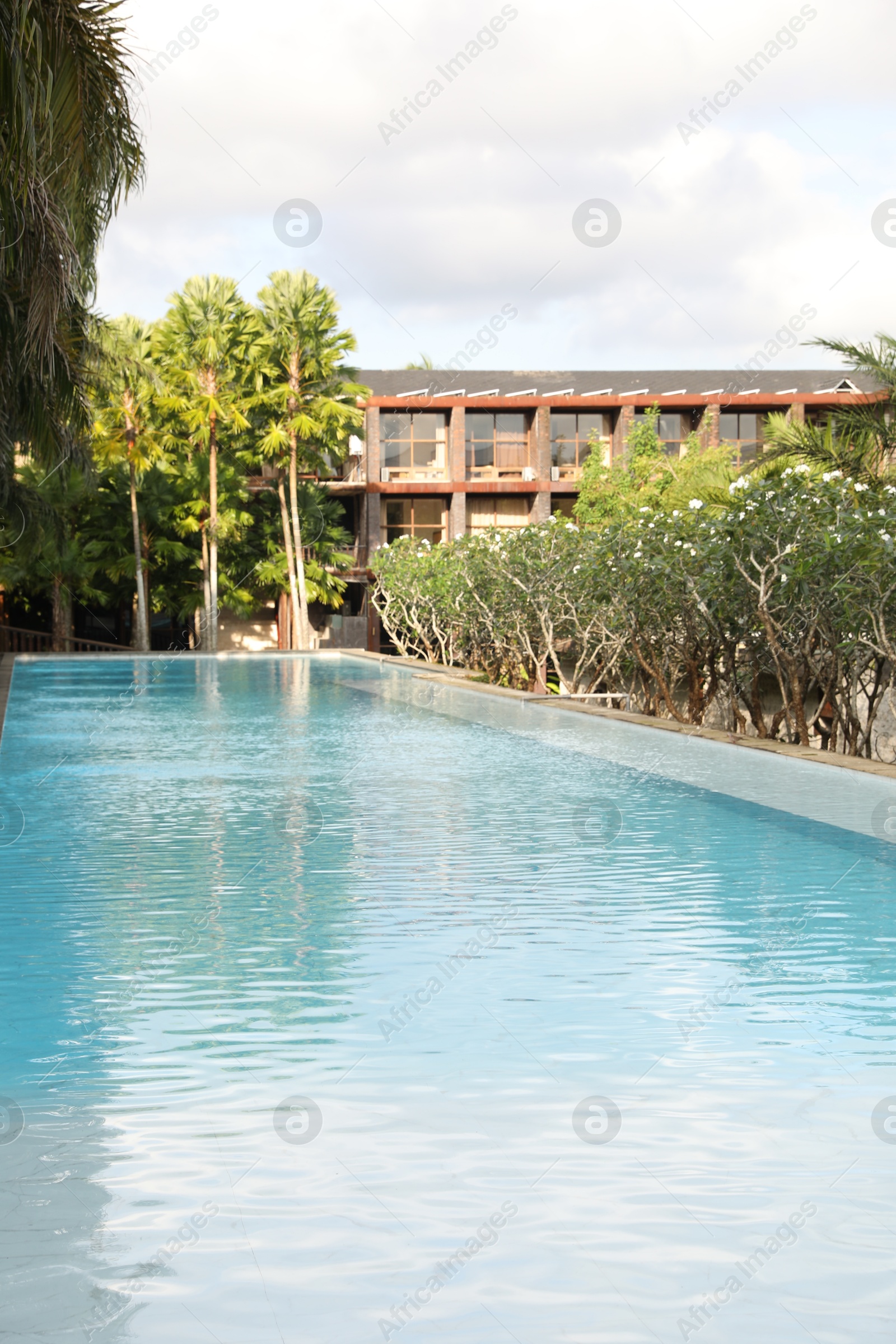 Outdoor swimming pool, building and green plants at luxury resort Photo of Outdoor swimming pool, building and green plants at luxury resort